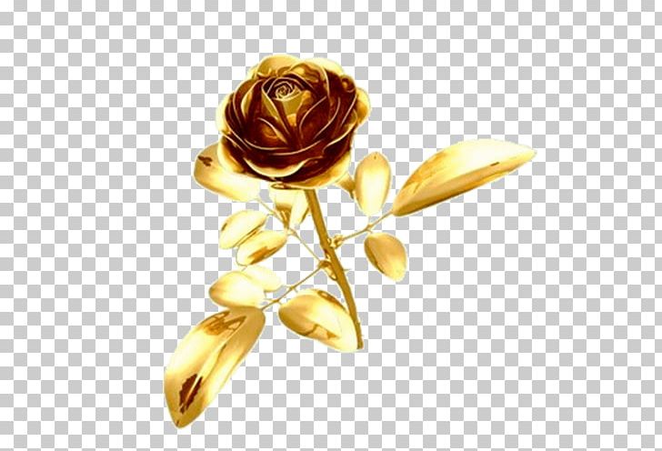 Ping PNG, Clipart, Animation, Cut Flowers, Download, Electrical Cable, Fine Free PNG Download