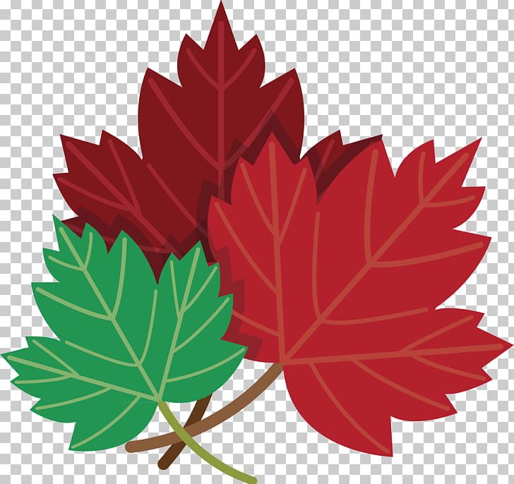 Toronto Maple Leafs PNG, Clipart, Autumn Leaf, Autumn Leaf Color, Encapsulated Postscript, Euclidean Vector, Flowering Plant Free PNG Download