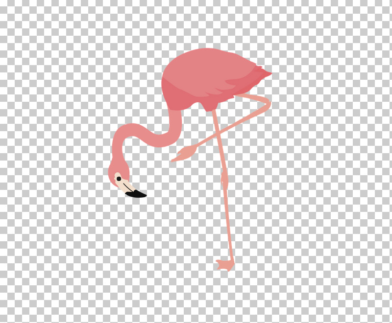 Flamingo PNG, Clipart, Bird, Flamingo, Greater Flamingo, Pink, Stork Free PNG Download