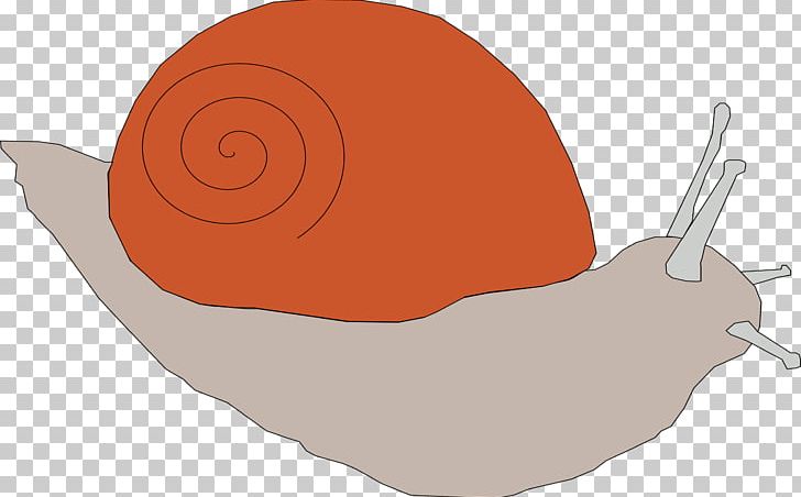 Computer Icons Snail PNG, Clipart, Animals, Animation, Computer Icons, Desktop Wallpaper, Download Free PNG Download