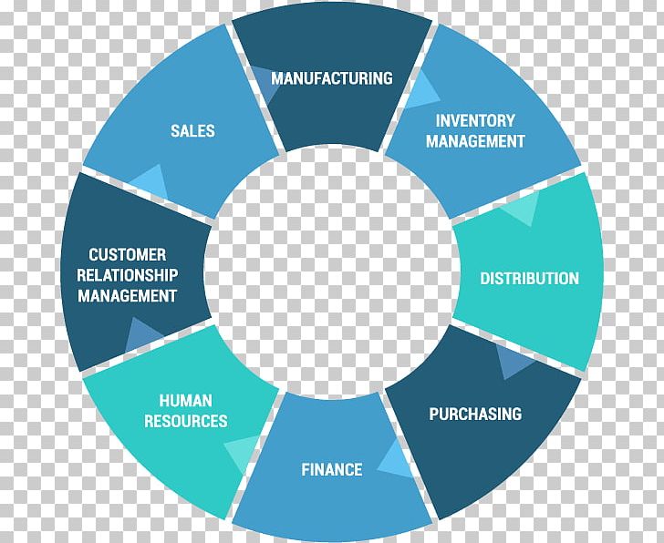 Enterprise Resource Planning Graphics Business Infographic Oracle Hyperion PNG, Clipart, Area, Brand, Business, Business Process, Circle Free PNG Download