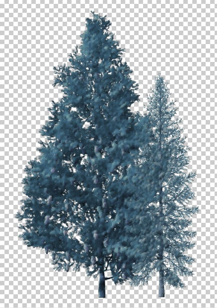 Spruce Christmas Tree Fir Branch PNG, Clipart, Biome, Branch, Christmas Decoration, Christmas Ornament, Christmas Tree Free PNG Download