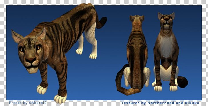 Tiger Cat Terrestrial Animal Wildlife Puma PNG, Clipart, Animal, Animals, Big Cats, Carnivoran, Cat Free PNG Download