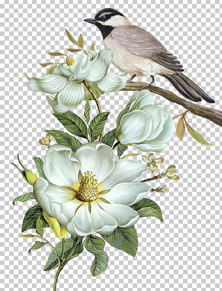 Pixel Computer File PNG, Clipart, Bir, Bird, Branch, Chinese Style, Finch Free PNG Download