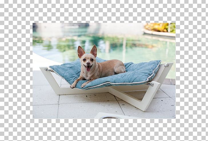 Hammock Dog Breed French Bulldog Chihuahua Sunlounger PNG, Clipart, Bed, Chihuahua, Collar, Couch, Dog Free PNG Download