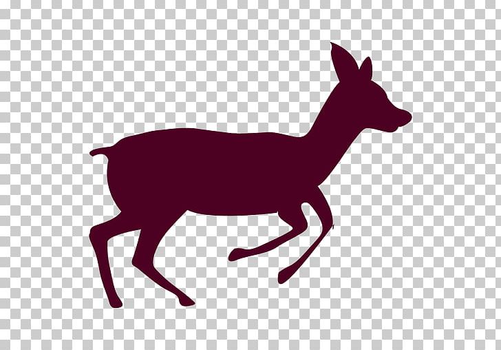 Reindeer PNG, Clipart, Animal, Animals, Canidae, Deer, Dog Like Mammal Free PNG Download