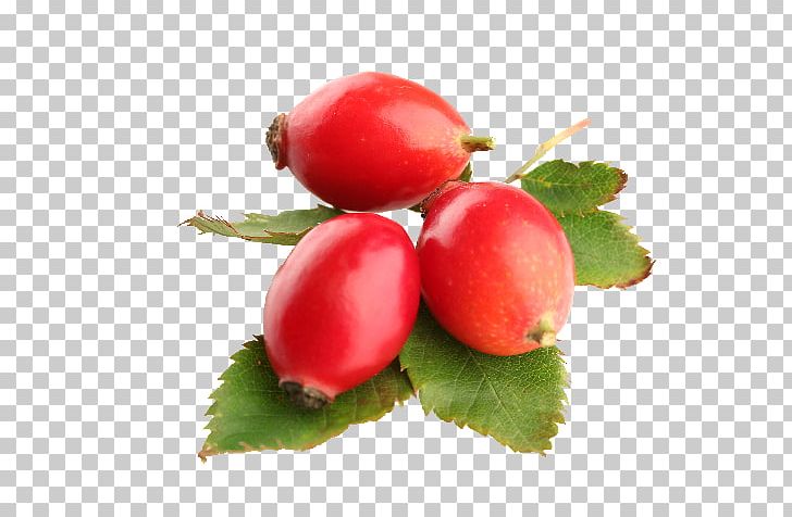Rose Hip Seed Oil Carrier Oil Food PNG, Clipart, Acerola Family, Berry, Carrier Oil, Cranberry, Currant Free PNG Download