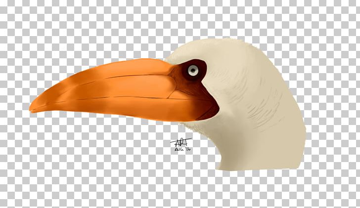 Bird Dinosaur Ramphastosula Miocene Beak PNG, Clipart, Animals, Beak, Bird, Booby, Cenozoic Free PNG Download