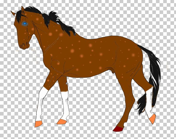 Horse Colt Stallion Mare Pony PNG, Clipart, Animal Figure, Animals, Bridle, Colt, Drawing Free PNG Download