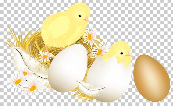 Chicken Egg Illustration PNG, Clipart, Beak, Cartoon, Chicken, Chicken Egg, Chickens Free PNG Download