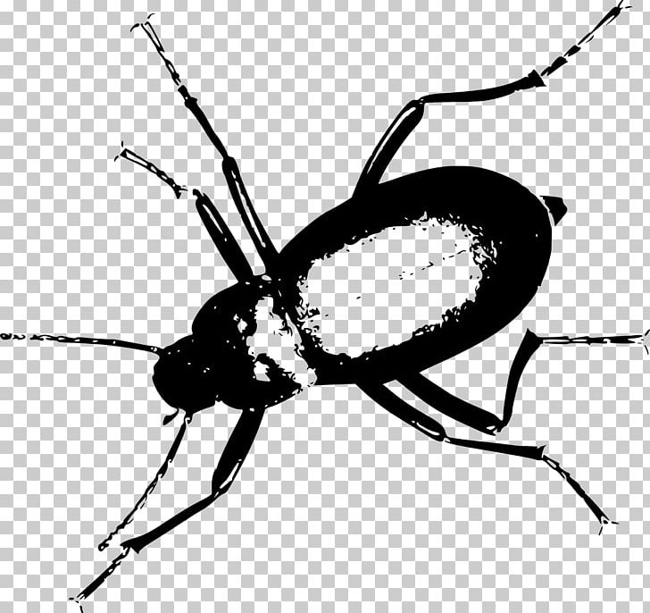 Darkling Beetle Computer Icons PNG, Clipart, Arthropod, Beetle, Black And White, Bug, Cartoon Free PNG Download