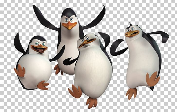 Madagascar Penguins PNG, Clipart, Madagascar Penguins Free PNG Download