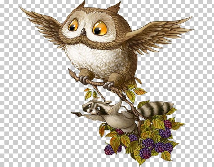 Baby Owls Bird Barn Owl Raccoons PNG, Clipart, Animals, Baby, Baby Owls, Barn Owl, Beak Free PNG Download