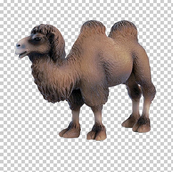 Bactrian Camel Dromedary Amazon.com Horse Foal PNG, Clipart, Action Toy Figures, Amazoncom, Animal Figure, Animals, Arabian Camel Free PNG Download