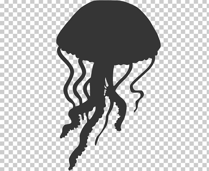 Jellyfish Silhouette PNG, Clipart, Animal, Animals, Black, Black And White, Clip Art Free PNG Download