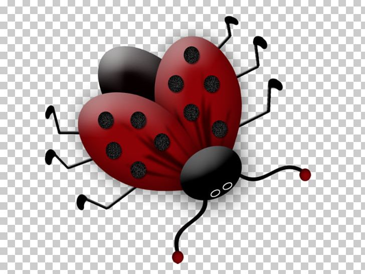 Ladybird Beetle Daffy Duck PNG, Clipart, Animals, Beetle, Bugs Bunny, Daffy Duck, Drawing Free PNG Download