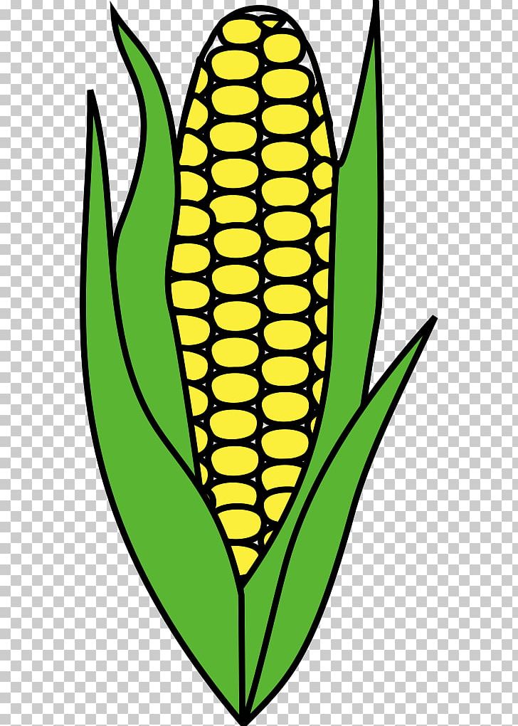 Maize PNG, Clipart, Artwork, Commodity, Download, Flower, Leaf Free PNG Download
