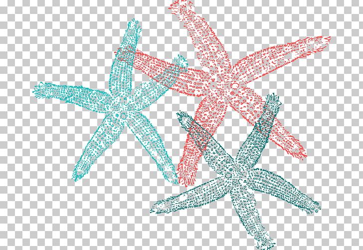 Starfish PNG, Clipart, Animal, Animals, Download, Drawing, Echinoderm Free PNG Download