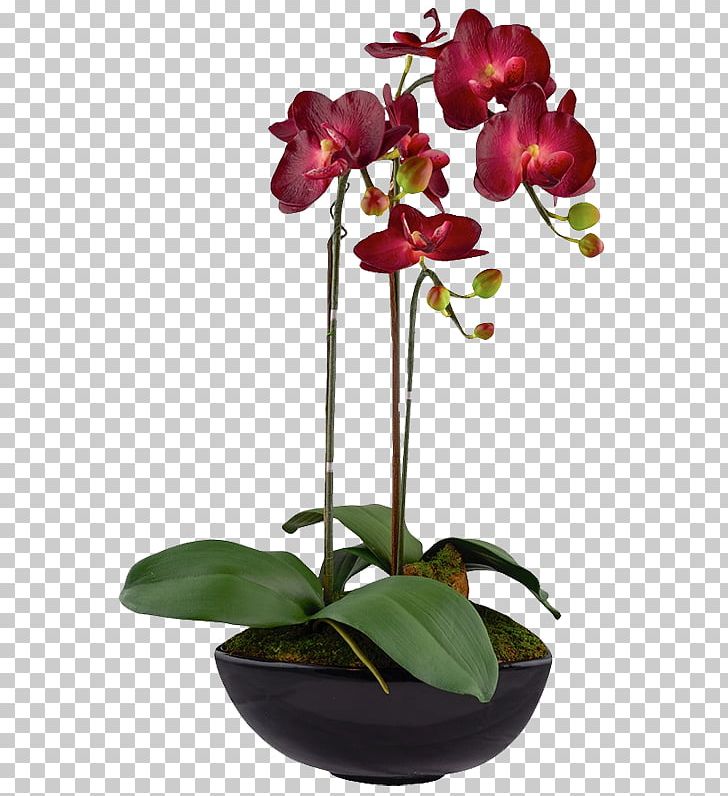 Moth Orchids Floral Design Flower Red PNG, Clipart, Artificial Flower, Boat Orchid, Flora, Floristry, Flower Free PNG Download