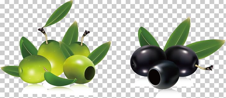 Olive Branch PNG, Clipart, Black Olive, Clip Art, Drawing, Food, Free Content Free PNG Download