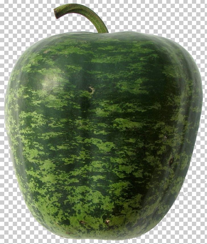 Wax Gourd Watermelon Cucumber Pumpkin PNG, Clipart, Apple, Citrullus, Cucumber, Cucumber Gourd And Melon Family, Cucumis Free PNG Download