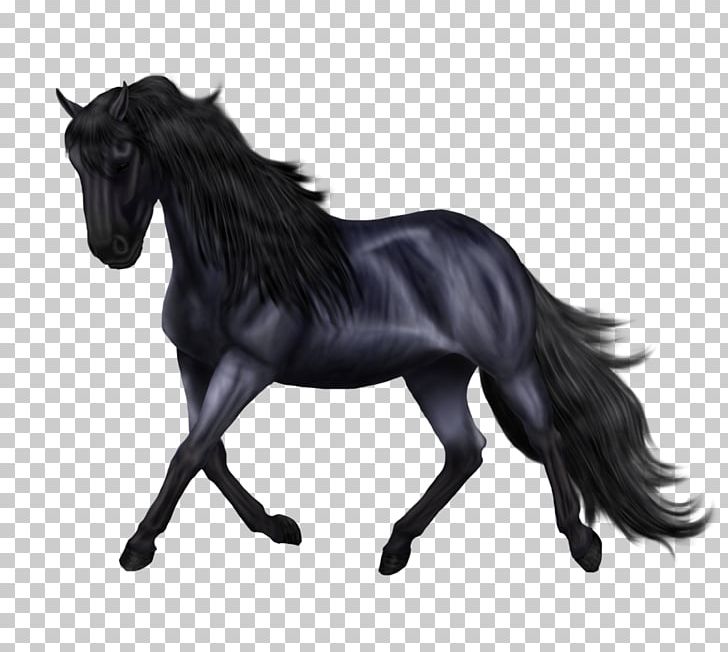 Friesian Horse Friesian Sporthorse Mane Stallion Mustang PNG, Clipart, Animal Figure, Black, Black And White, Bridle, Dressage Free PNG Download