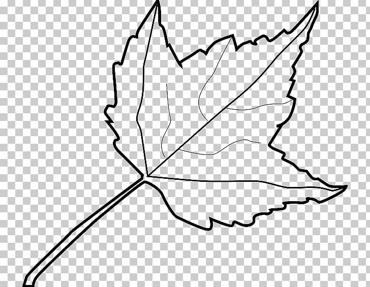 Open Autumn Leaf Color PNG, Clipart, Area, Artwork, Autumn, Black, Black And White Free PNG Download