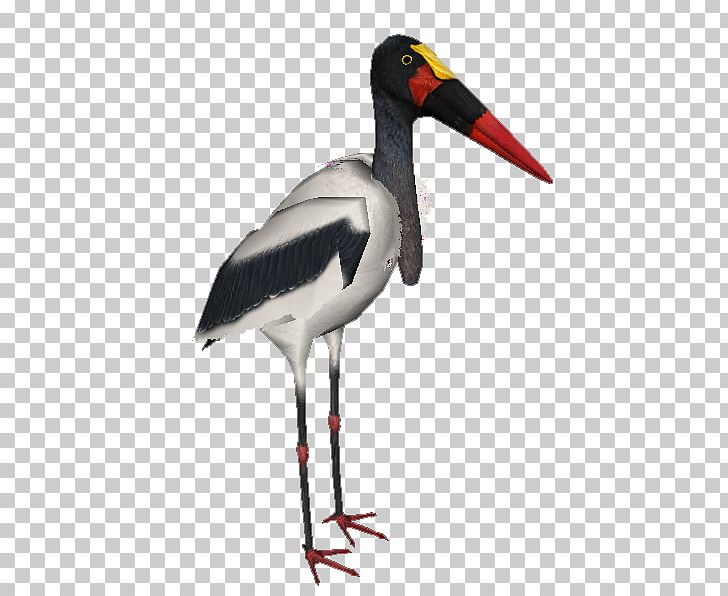 White Stork Zoo Tycoon 2 Saddle-billed Stork Yellow-billed Stork PNG, Clipart,  Free PNG Download