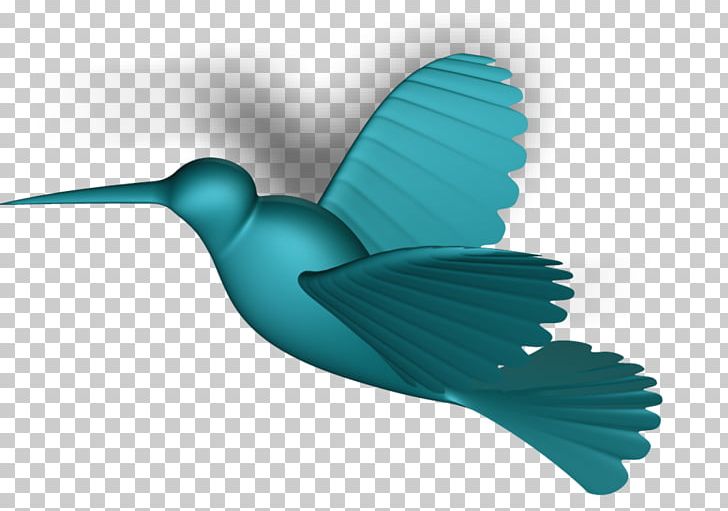 Bird Turquoise Teal Beak Feather PNG, Clipart, Animals, Beak, Bird, Feather, Hummingbird Free PNG Download