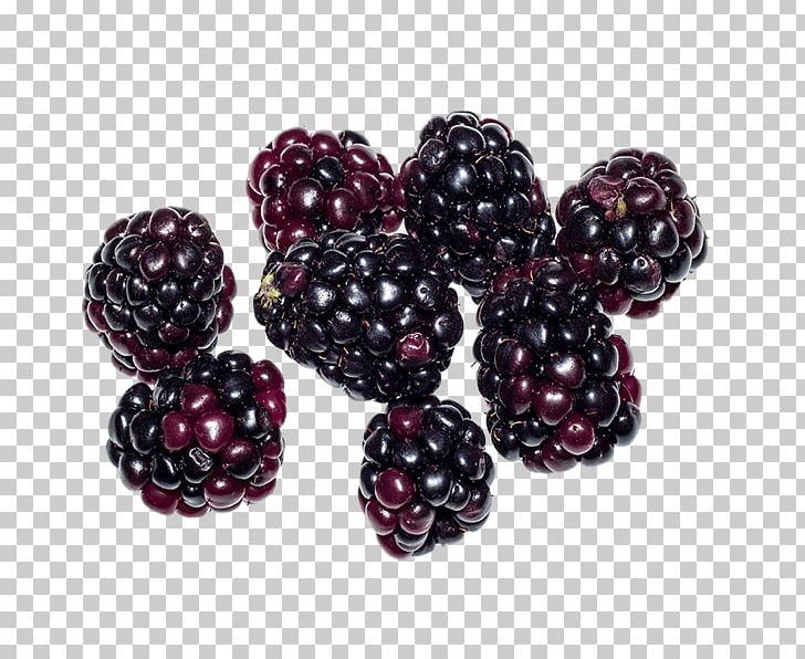 Boysenberry Loganberry Tayberry Blackberry Food PNG, Clipart, Auglis, Bead, Berry, Blackberry, Blackberry Fruit Free PNG Download