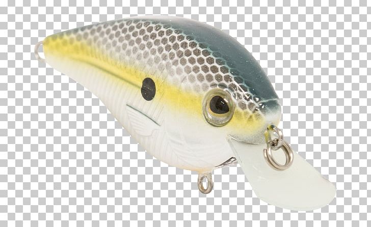 Spoon Lure Fishing Baits & Lures Livingston Lures Water PNG, Clipart, Action Fiction, Action Film, Amp, Bait, Baits Free PNG Download