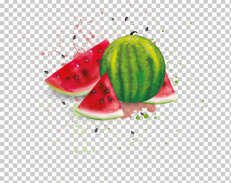 Watermelon PNG, Clipart, Citrullus, Cucumber Gourd And Melon Family, Food, Fruit, Melon Free PNG Download