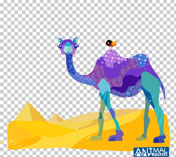 Dromedary Drawing PNG, Clipart, Animal, Animals, Arabian Camel, Art, Camel Free PNG Download