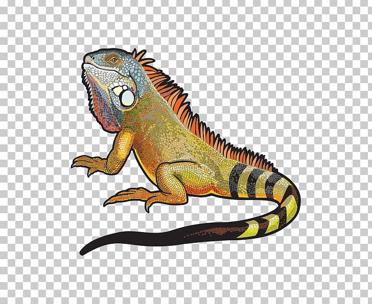 Lizard Green Iguana Graphics PNG, Clipart, Amphibian, Animal Figure, Animals, Common Iguanas, Dinosaur Free PNG Download