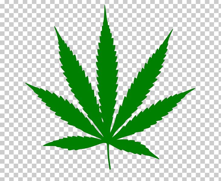 Medical Cannabis Cannabis Sativa Marijuana Hemp PNG, Clipart, Cannabis, Cannabis Ruderalis, Cannabis Sativa, Cannabis Smoking, Drug Free PNG Download