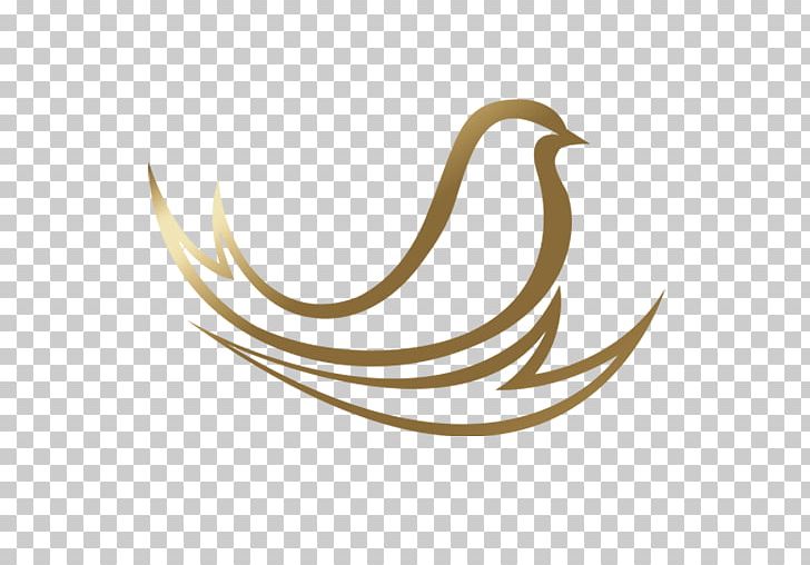 SING YAN Bird's Nest Bird Nest Barn Swallow PNG, Clipart,  Free PNG Download