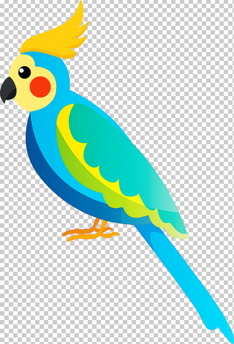 Birds Budgerigar Scarlet Macaw Cockatiel Parrots PNG, Clipart, Beak, Bird Cartoon, Birds, Budgerigar, Cockatiel Free PNG Download