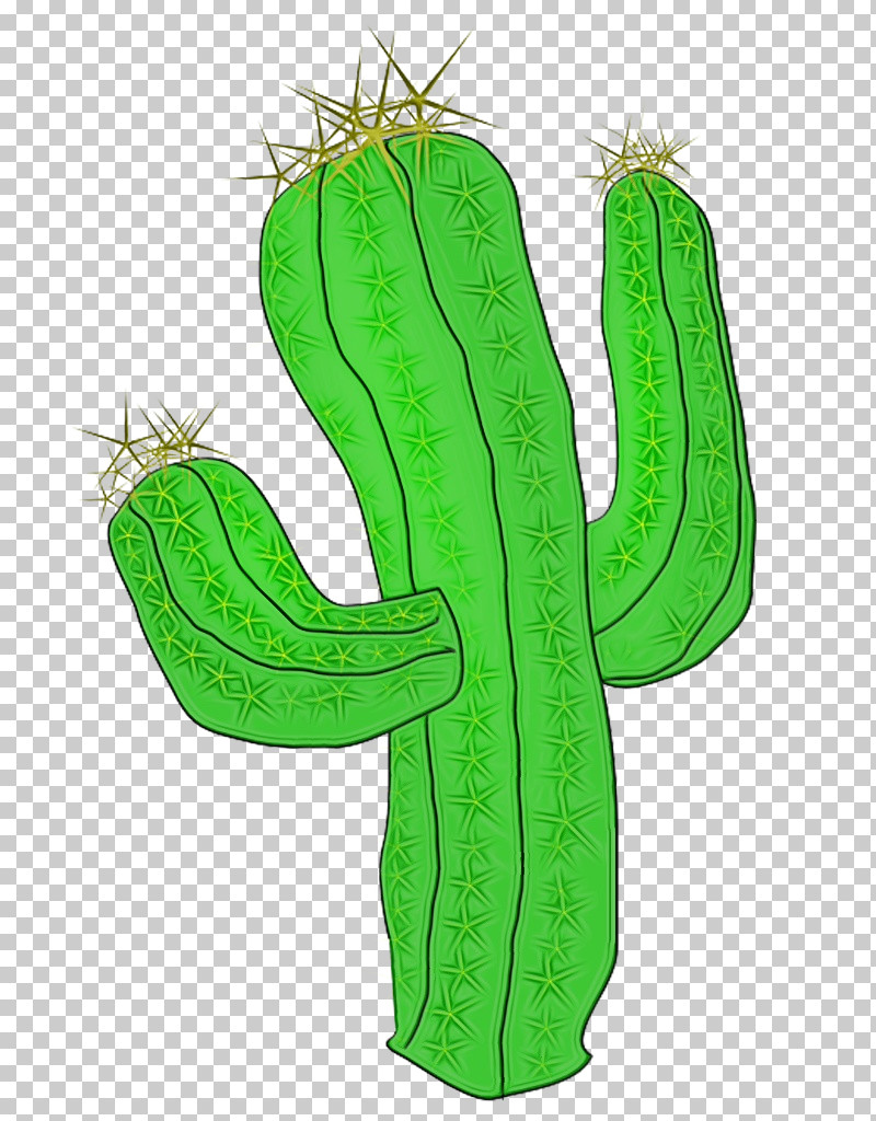 Cactus PNG, Clipart, Barbary Fig, Cactus, Caryophyllales, Flower, Leaf Free PNG Download