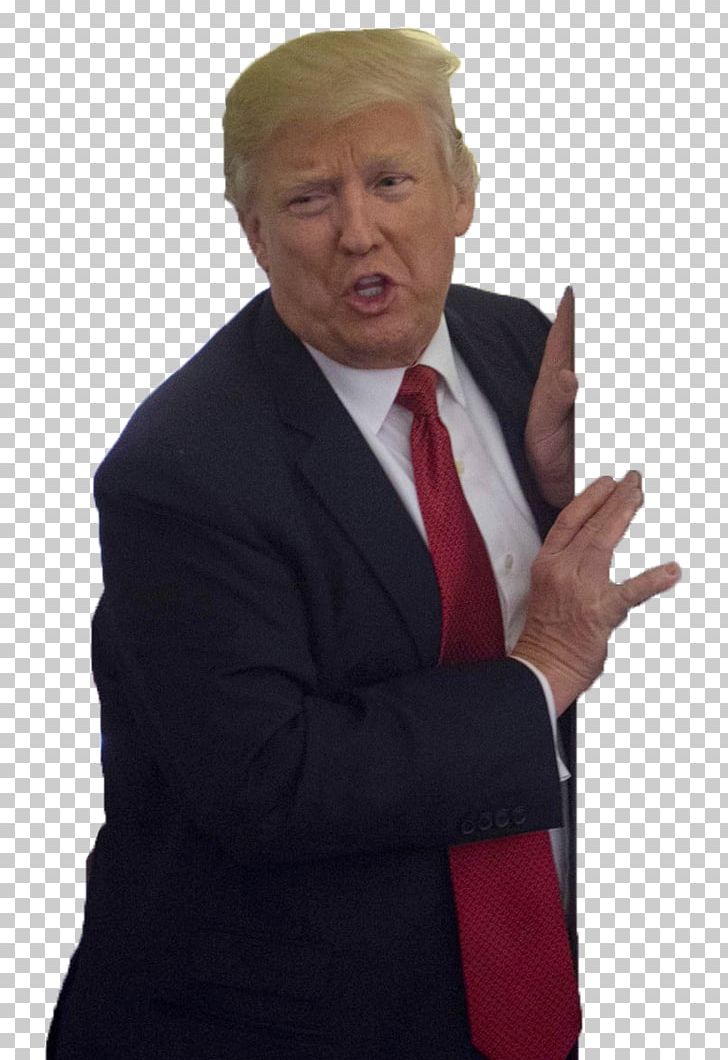Donald Trump President Of The United States Businessperson PNG, Clipart, Business, Business Executive, Celebrities, Digital Media, Donald Trump Free PNG Download