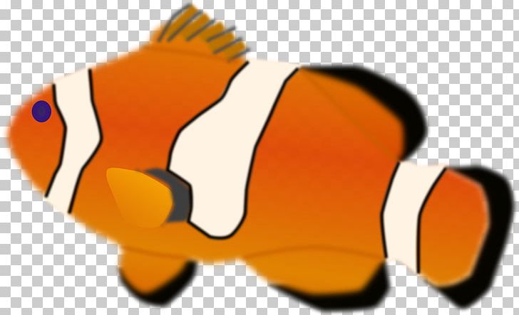 Orange Clownfish PNG, Clipart, Animals, Beak, Carnivoran, Clownfish, Color Free PNG Download