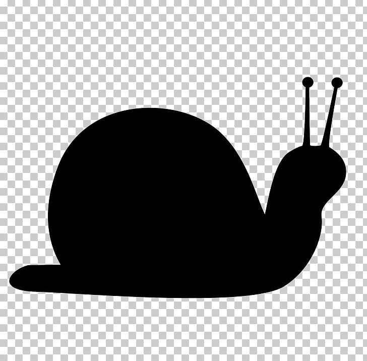 Snail Computer Icons PNG, Clipart, Animals, Black, Black And White, Clip Art, Computer Icons Free PNG Download