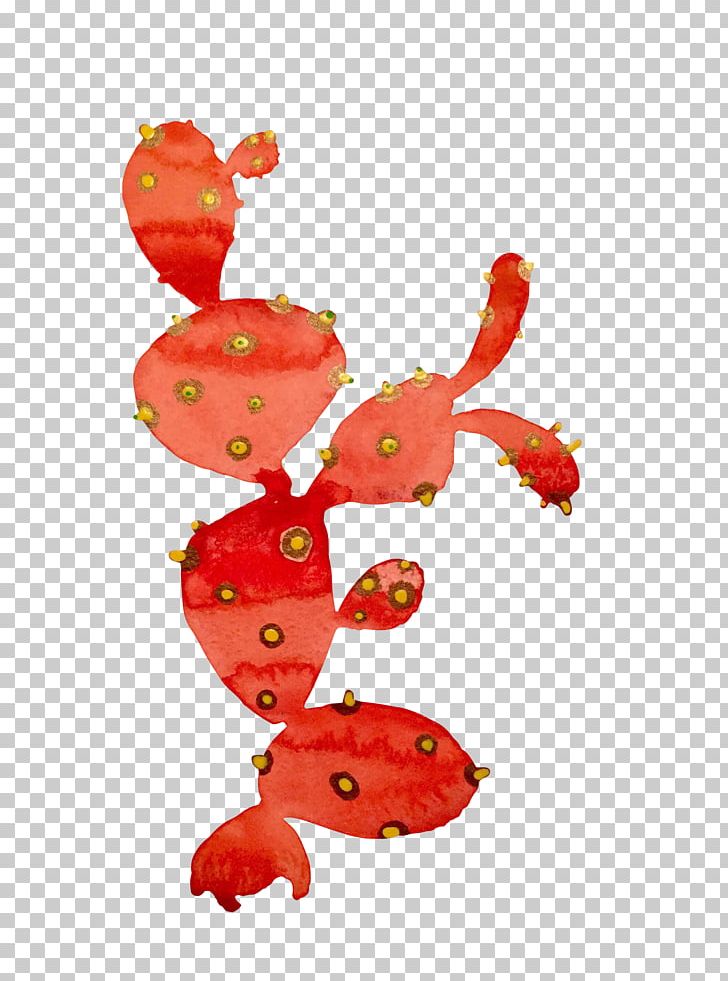 Strawberry Flowering Plant Fruit PNG, Clipart, Baby Toys, Cactus, Flowering Plant, Fruit, Fruit Nut Free PNG Download