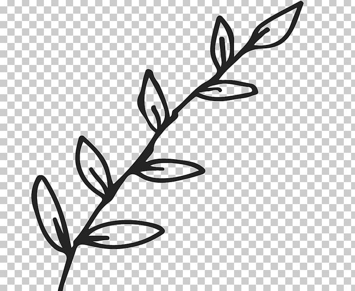 Twig Leaf Branch Plant Stem PNG, Clipart, Artwork, Black And White, Branch, Flora, Flower Free PNG Download