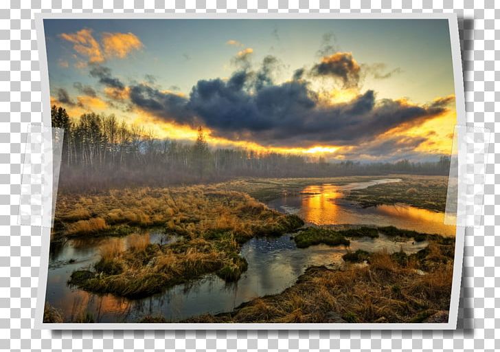 Wetland Landscape Sunset Desktop Swamps & Marshes PNG, Clipart, Bog, Cloud, Dawn, Desktop Wallpaper, Drawing Free PNG Download