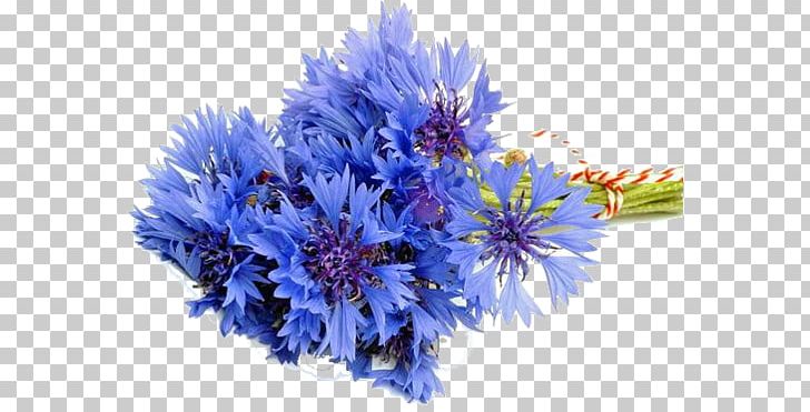 Flower Bouquet Saint Petersburg Birthday Cornflower Gift PNG, Clipart, Annual Plant, Artificial Flower, Aster, Birthday, Blue Free PNG Download