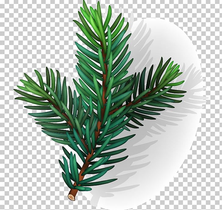 Hand-painted Conifer Leaf Pattern PNG, Clipart, Conifer, Coniferous, Decorative Patterns, Flower Pattern, Geometric Pattern Free PNG Download