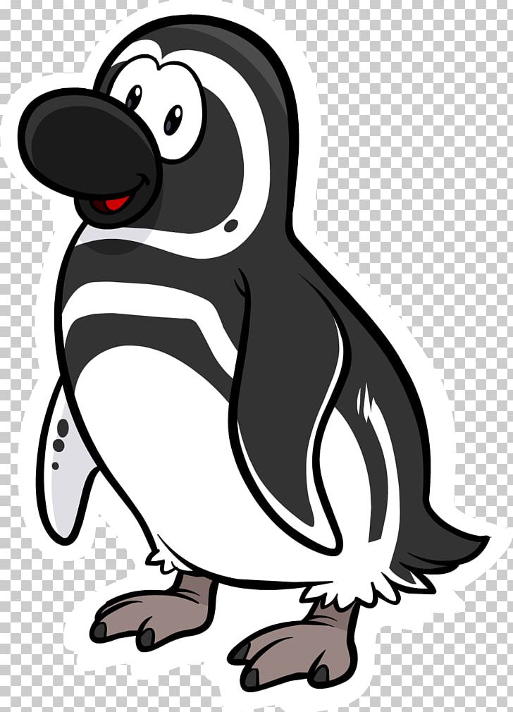 Magellanic Penguin Punta Tombo Club Penguin Drawing PNG, Clipart, Animals, Artwork, Beak, Bird, Black And White Free PNG Download