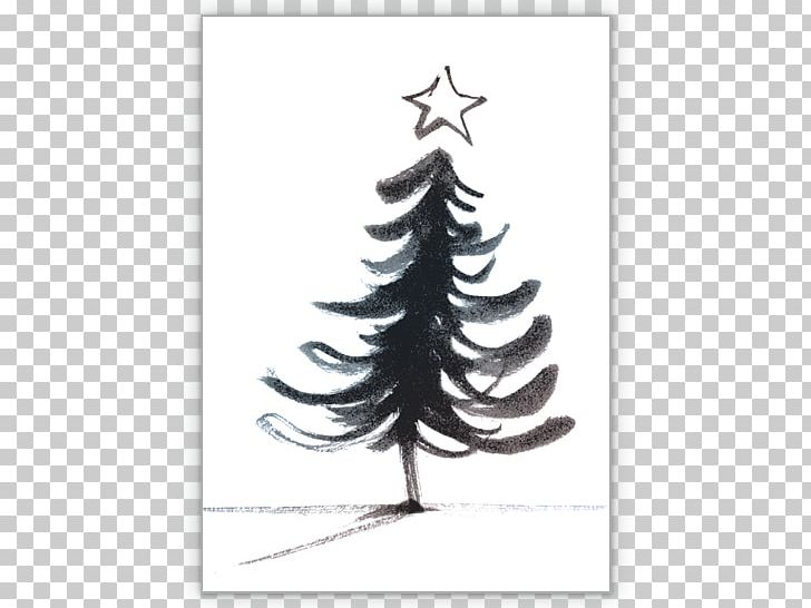 Fir Christmas Ornament Spruce Christmas Tree Pine PNG, Clipart, Christmas, Christmas Decoration, Christmas Ornament, Christmas Tree, Conifer Free PNG Download