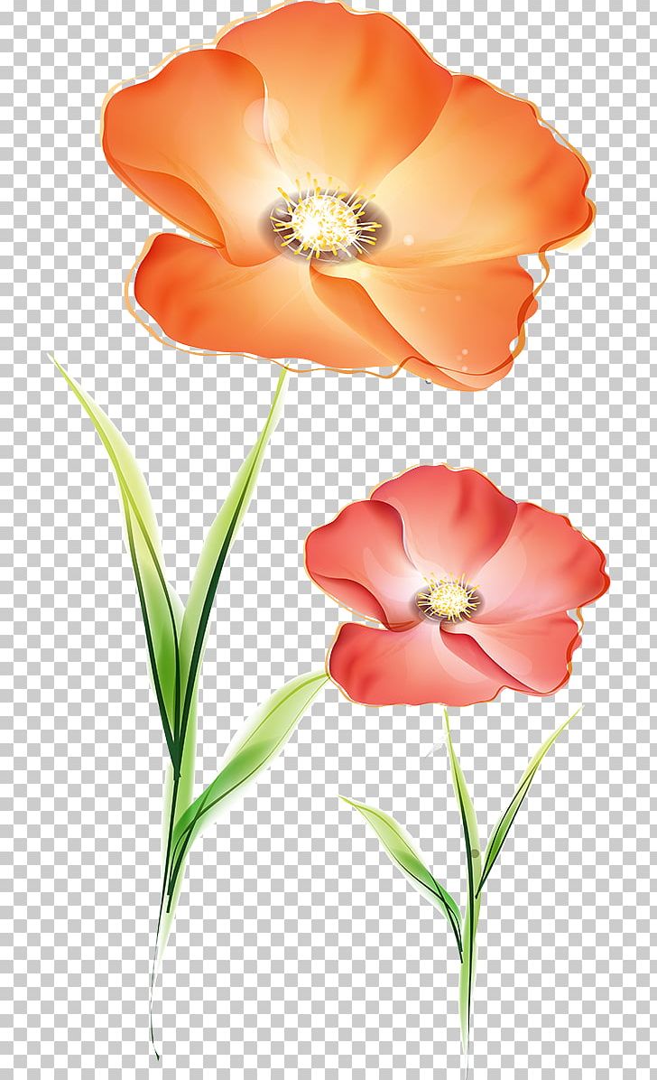 Cut Flowers Plant Stem Wildflower Petal PNG, Clipart, Cut Flowers, Flower, Flowering Plant, Others, Peach Free PNG Download