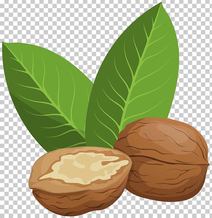 Walnut PNG, Clipart, Clip Art, Cocoa Bean, Commodity, Computer Icons, Digital Image Free PNG Download